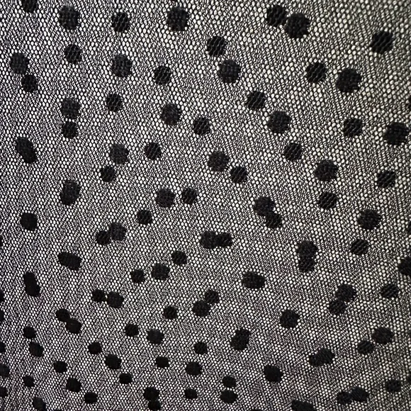 Women’s Sheer Mesh Dress with Polka Dots - Picture 5 of 9